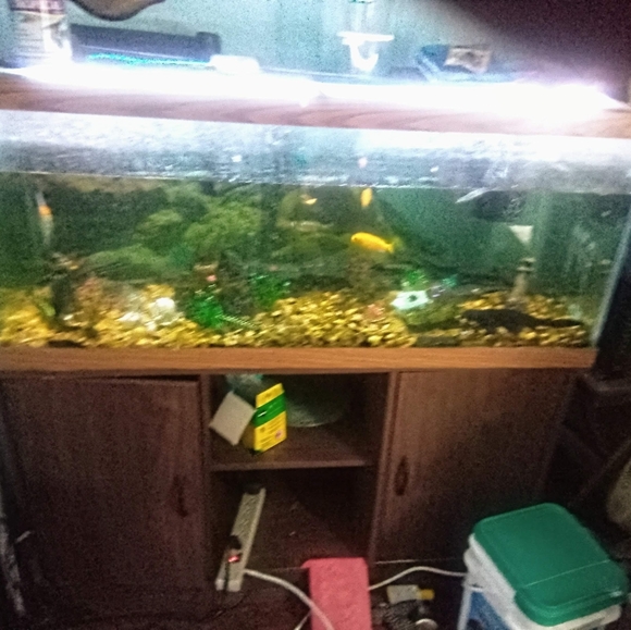 75 gallon fish tank stand two filters heater blue and white light and fish